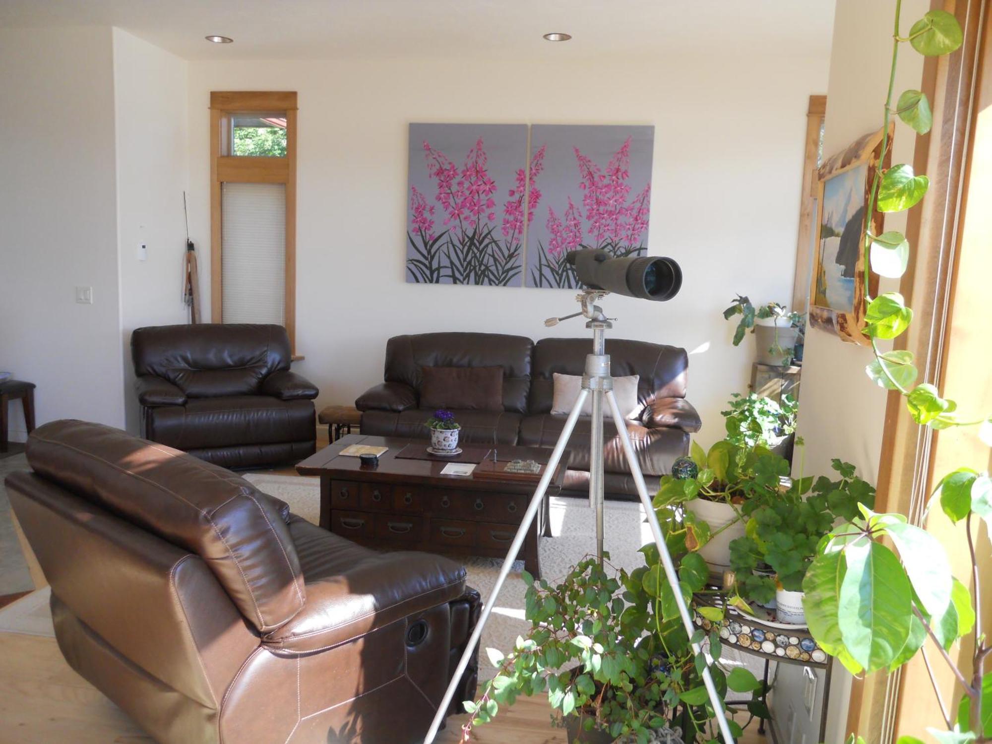 Seward Front Row Bed And Breakfast Bagian luar foto